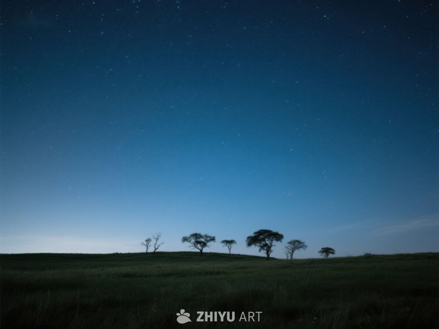 夜空下的孤树剪影 310