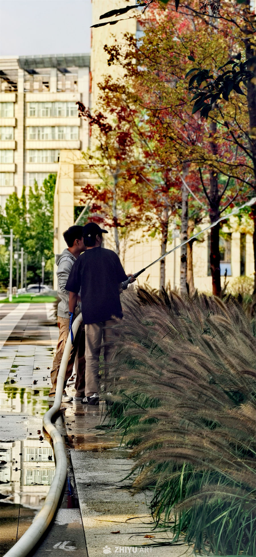 秋日清洁：喷水润泽绿意