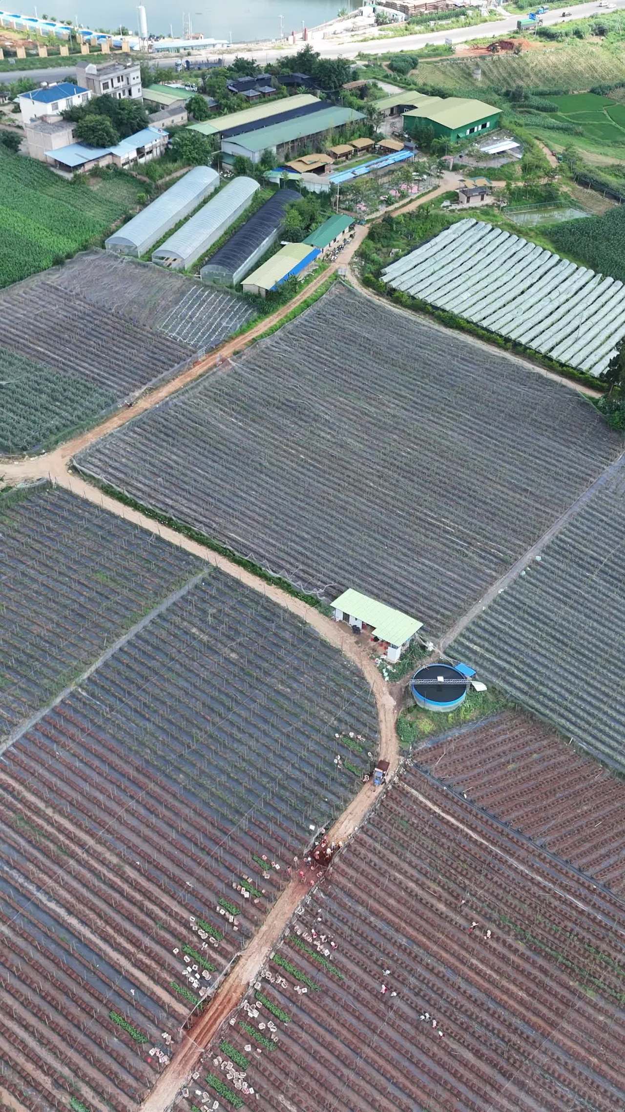 乡村农田全景