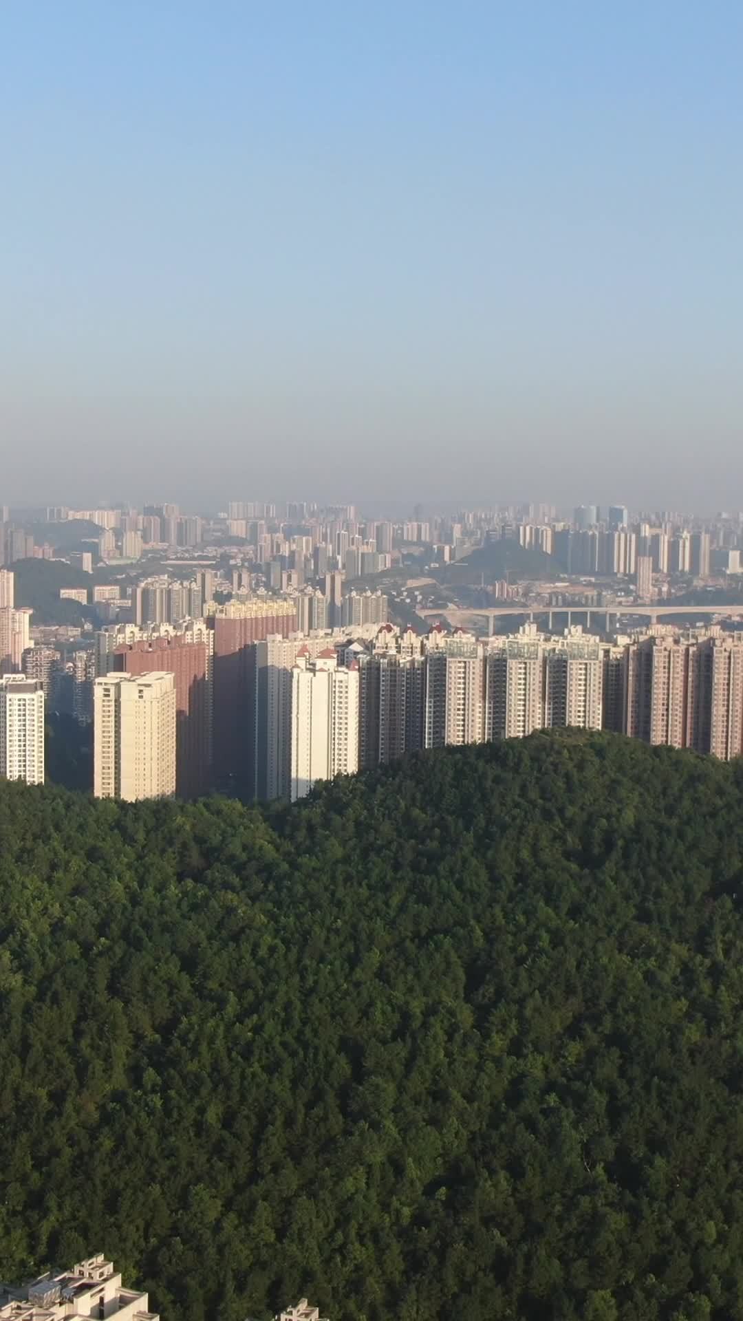 城市与自然的和谐共存