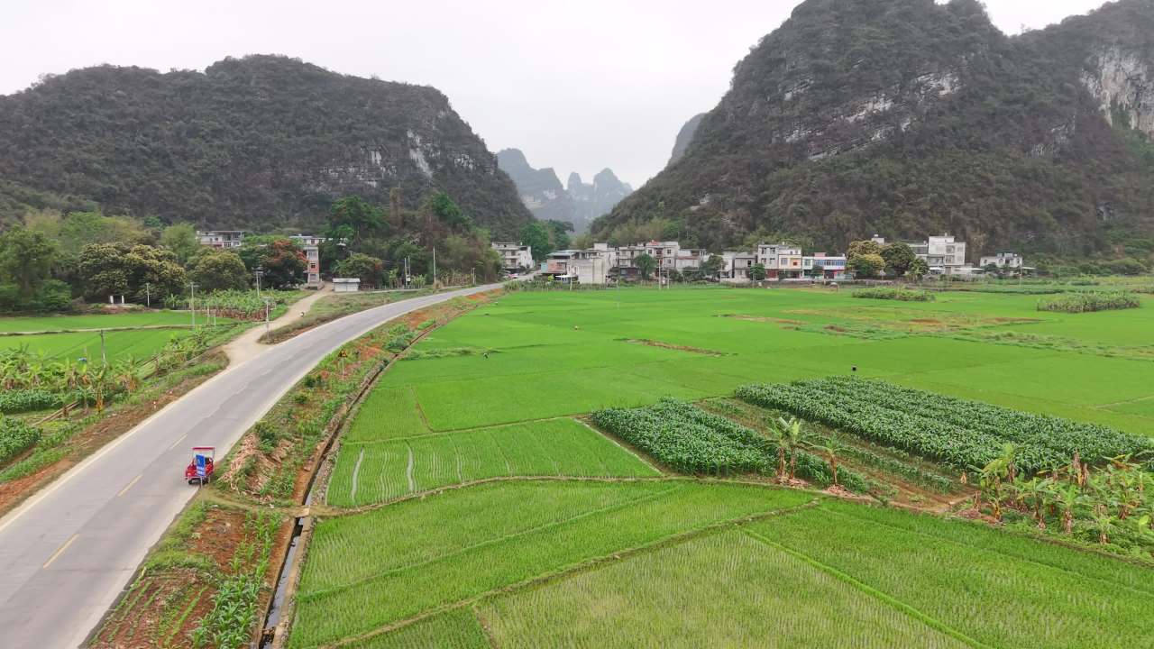乡村 3