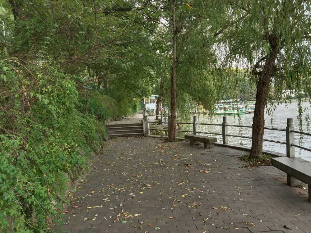 风景3