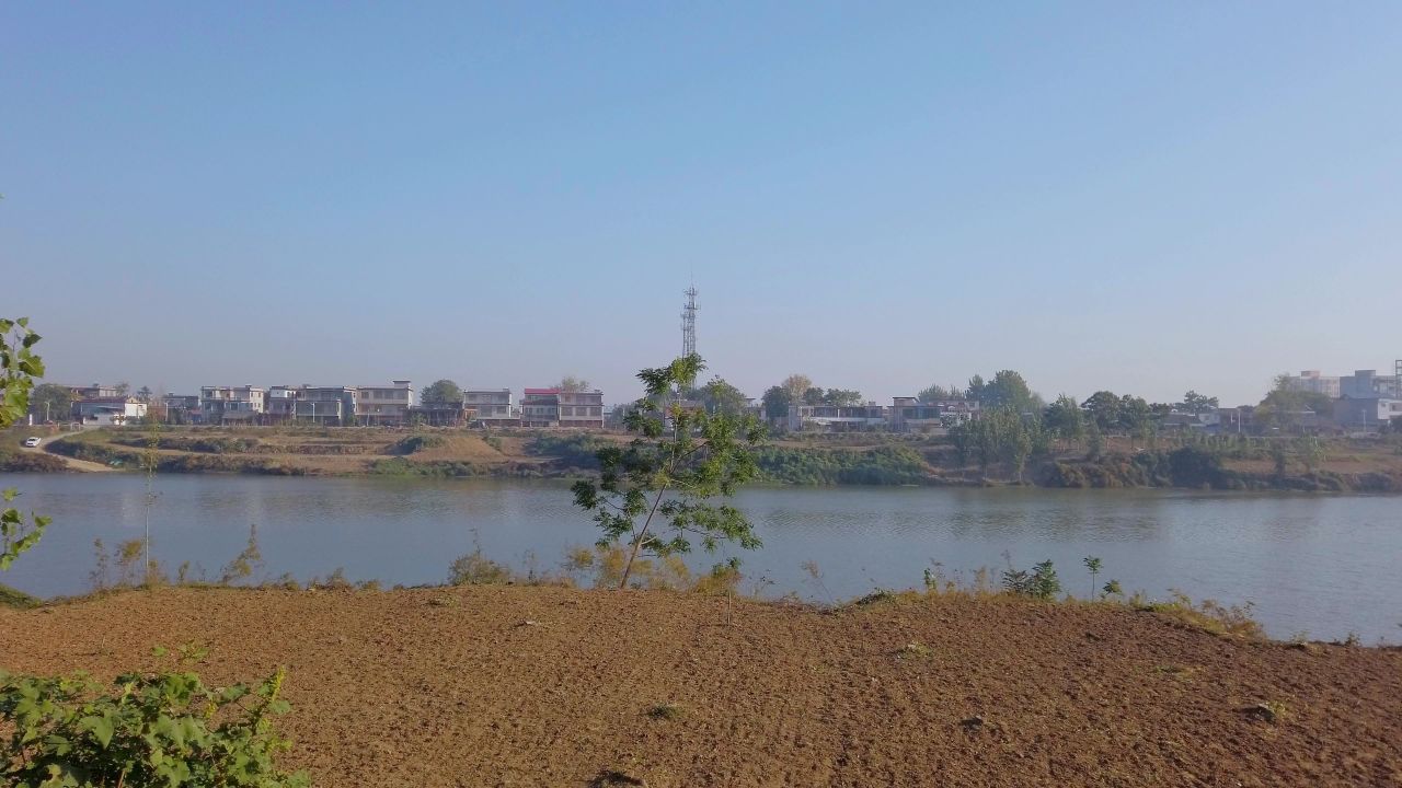 河边的小树和农村田地