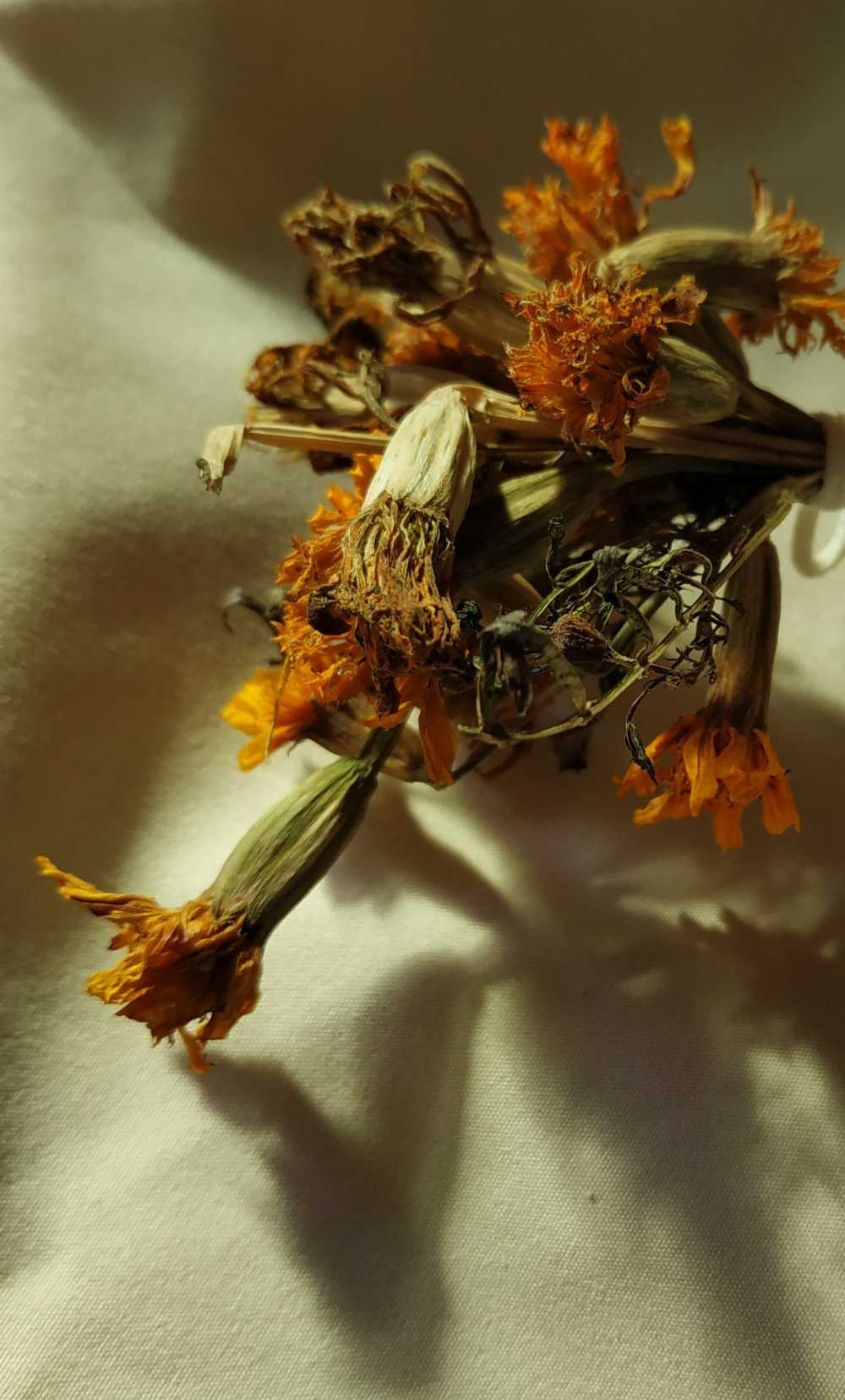 干花