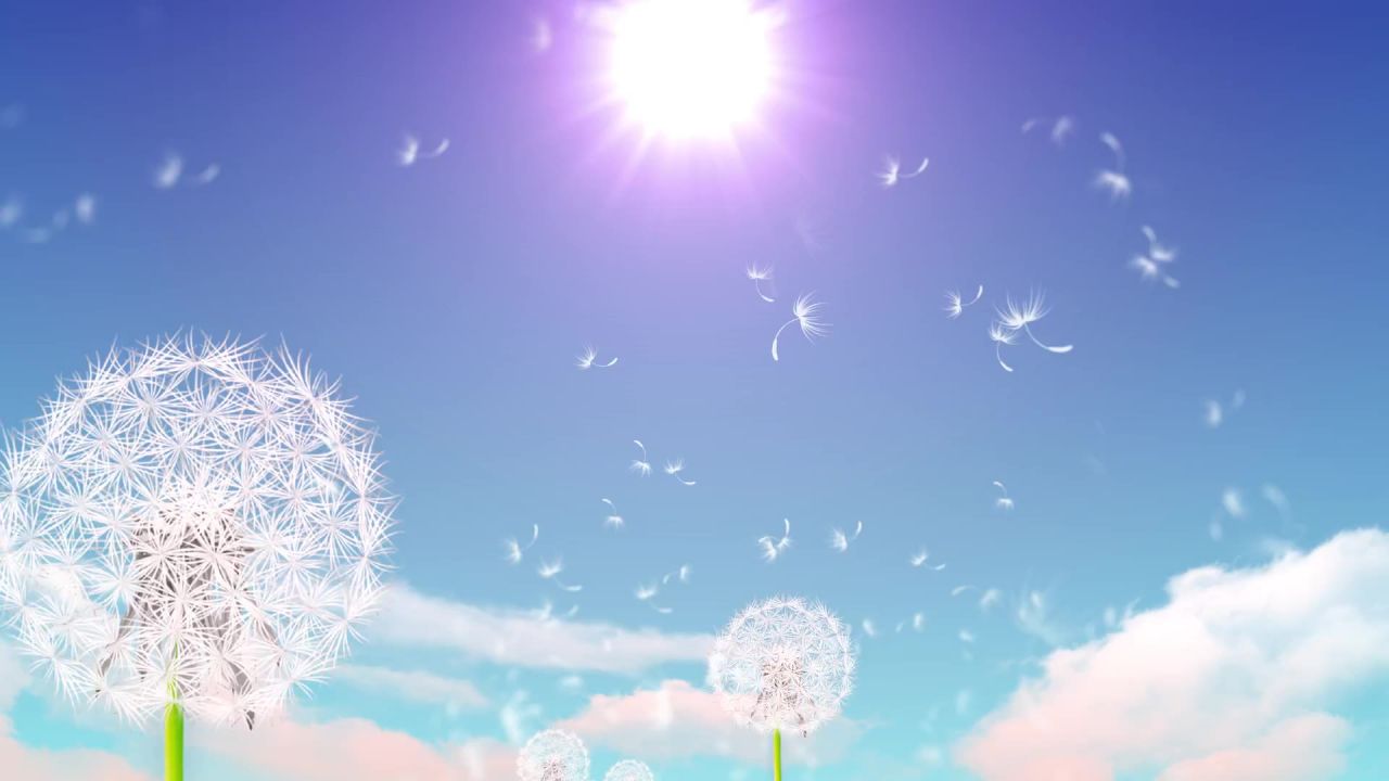 小清新蒲公英梦幻粒子led视频素材 30