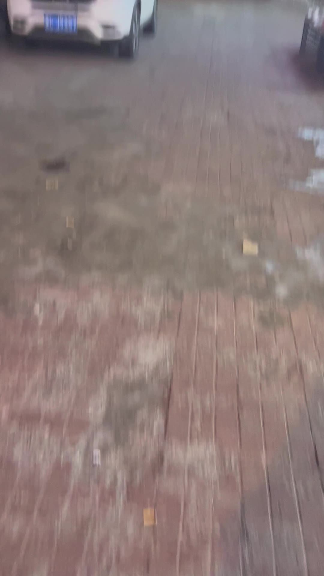 抬头看月
