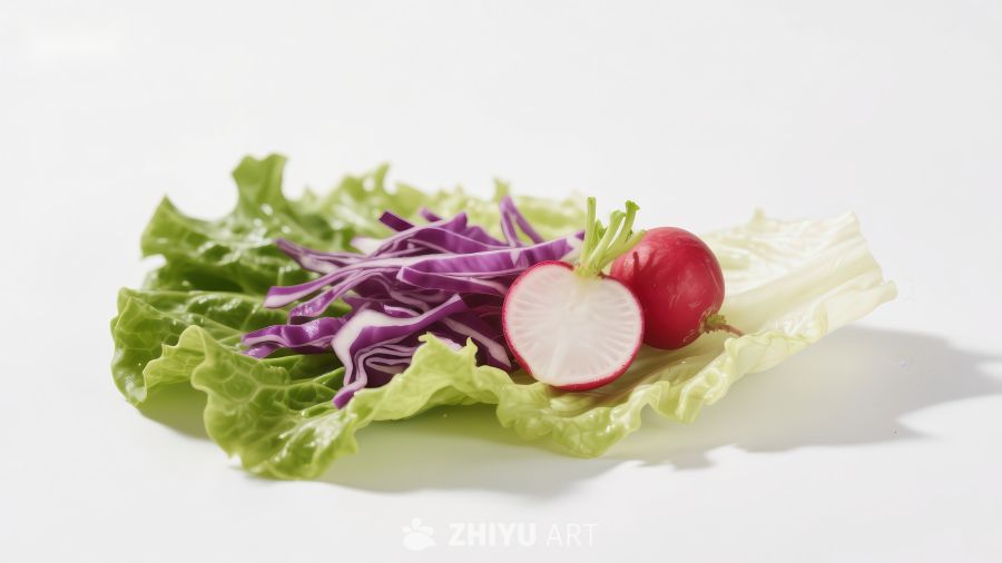 新鲜蔬菜组合：生菜、紫甘蓝与萝卜