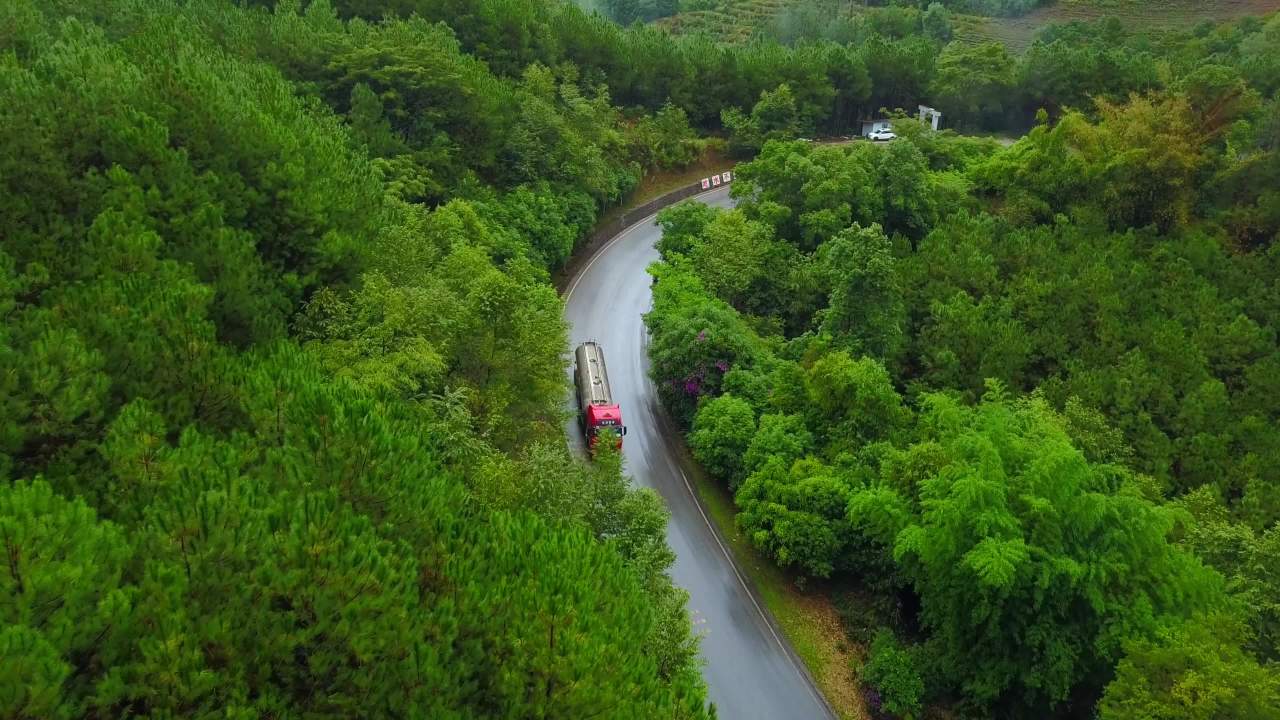森林中的蜿蜒之路