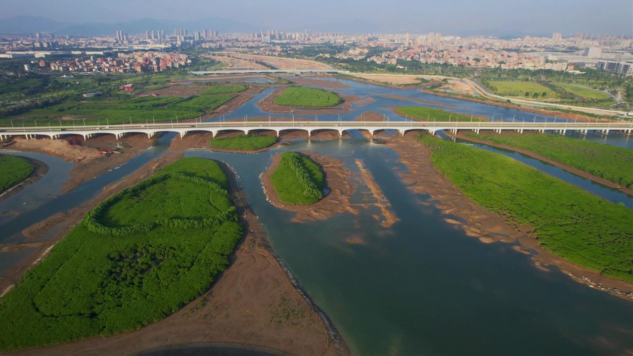 厦门航拍下潭尾湿地公园