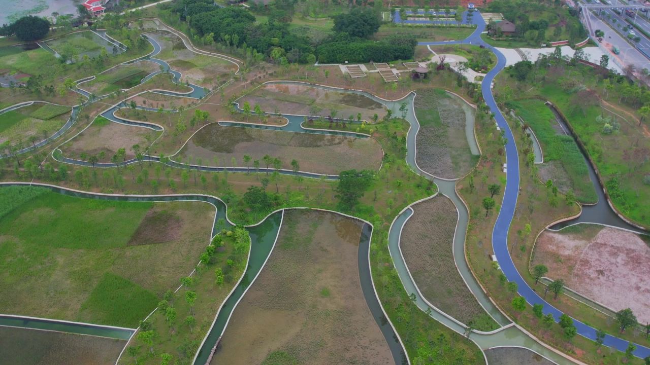 航拍厦门马銮湾双溪湿地公园 12