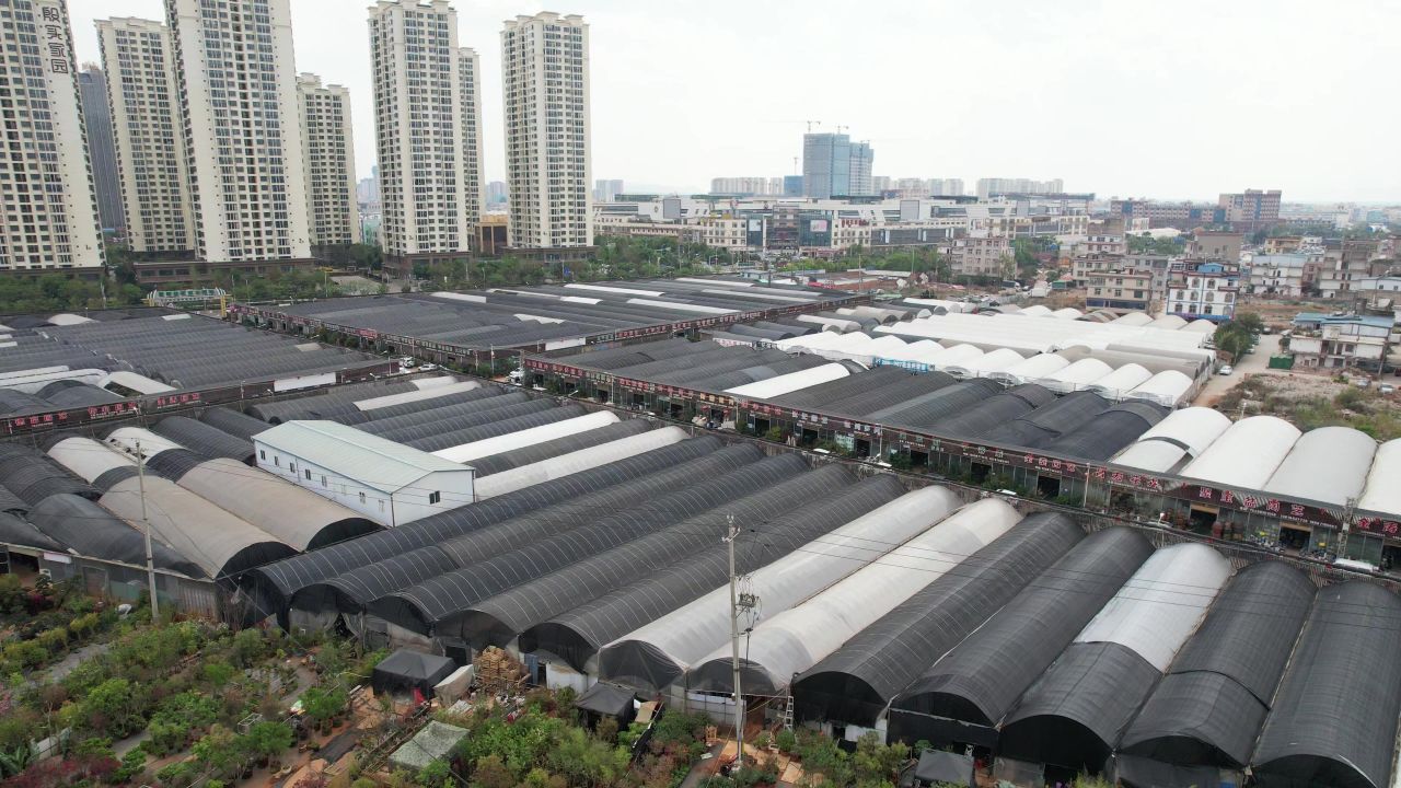 鲜花种植基地大棚农业航拍