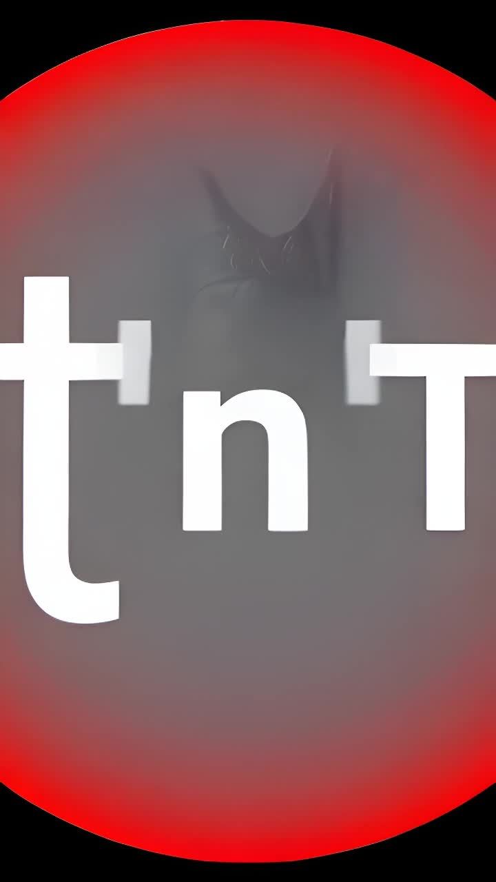 白色字母 “t’n’T” 显示在一个灰色圆圈的中间