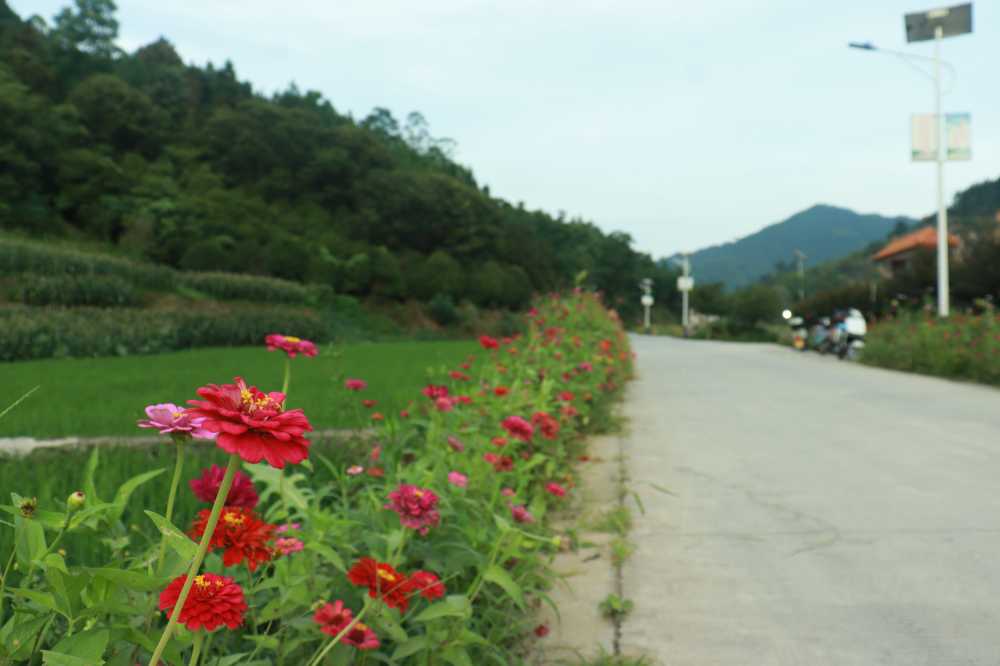 花路