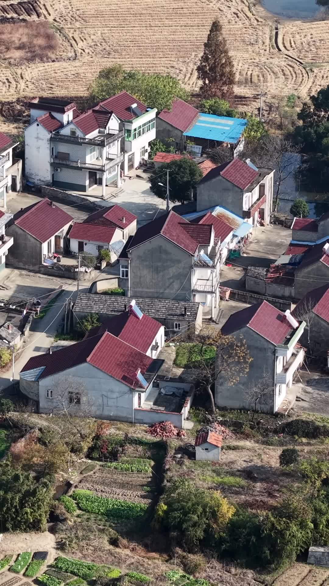 乡村静谧生活