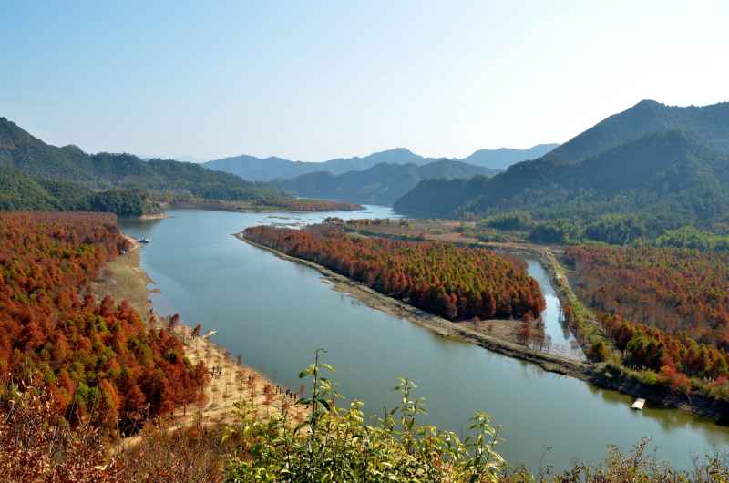 皖南川藏线 秋叶树林 12