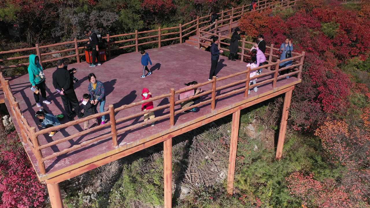 秋日木栈道上的悠闲时光