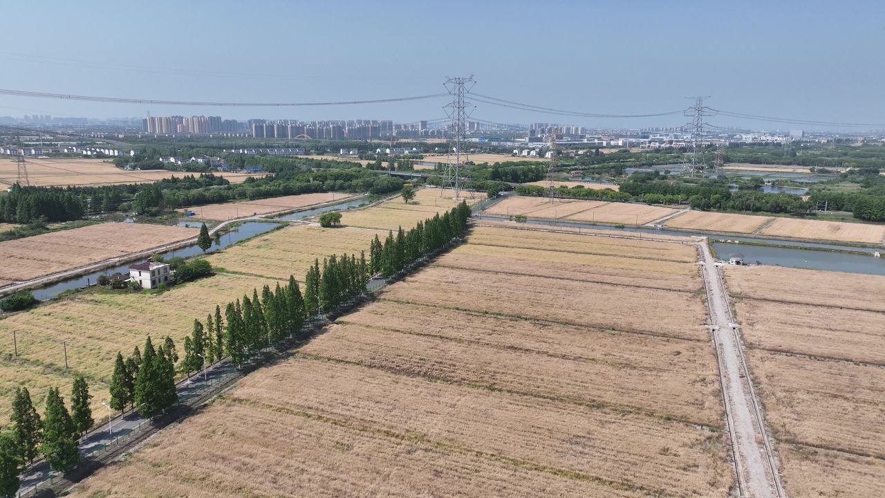 4K航拍昆山农业夏收 12