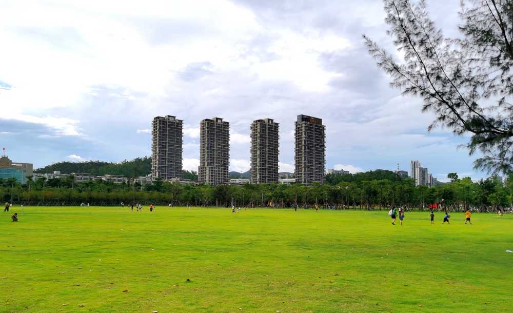 公园里的风景1
