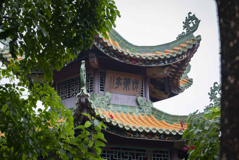 佛山顺德逢简水乡景点