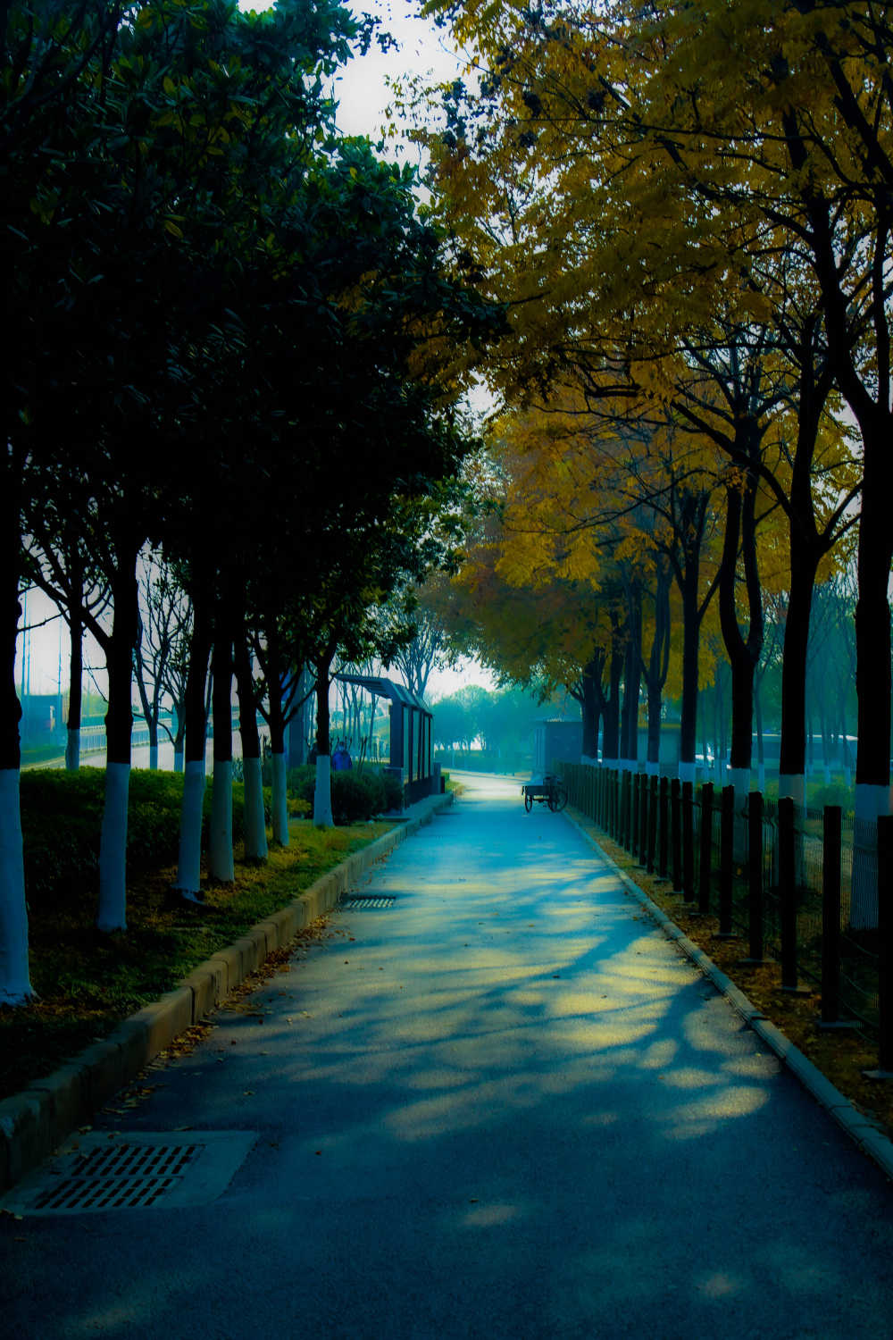 半曲新词半边天