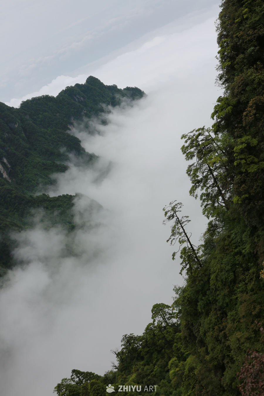 云海山巅