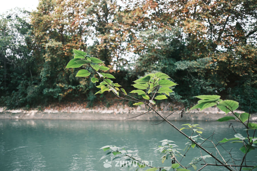 河风景 