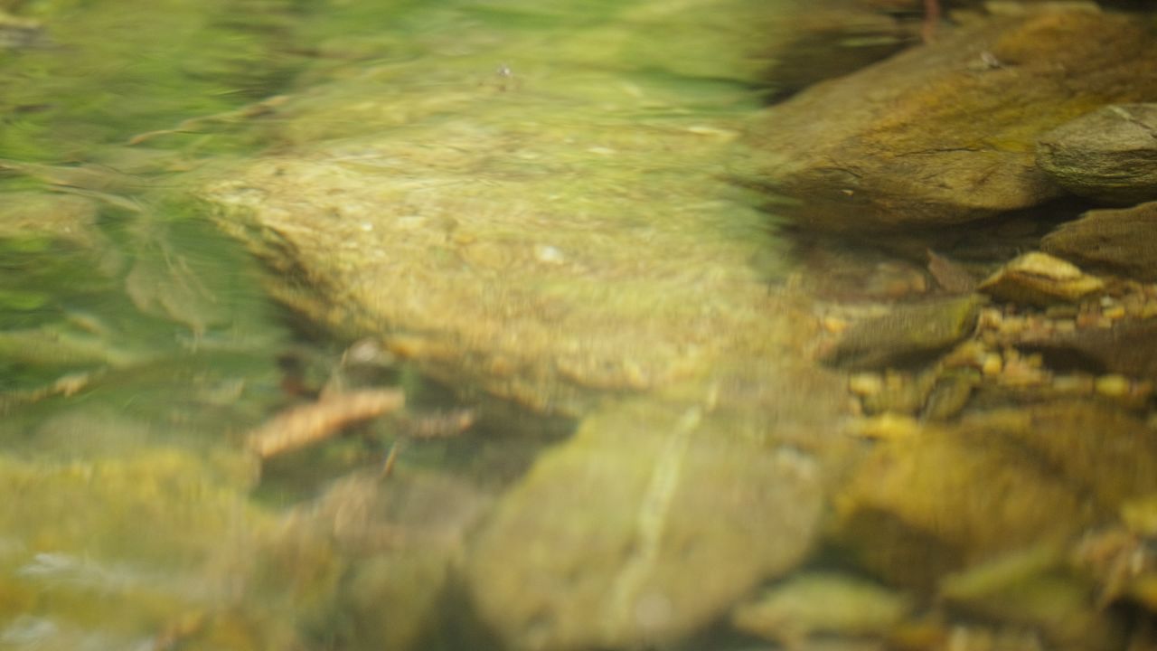 清澈山泉水温泉矿泉水小溪山涧 42