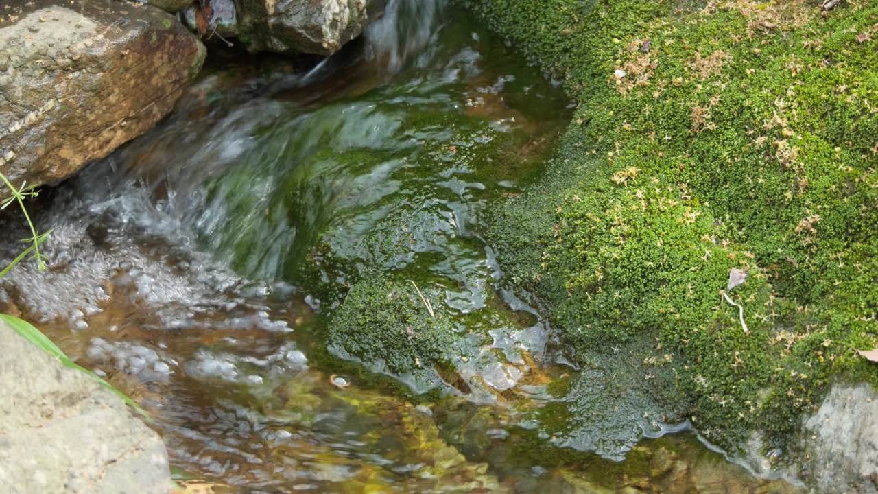 山泉水矿泉水潺潺小溪流水瀑布 39