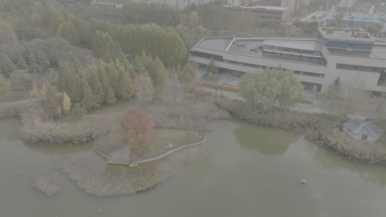 湖畔静谧公园