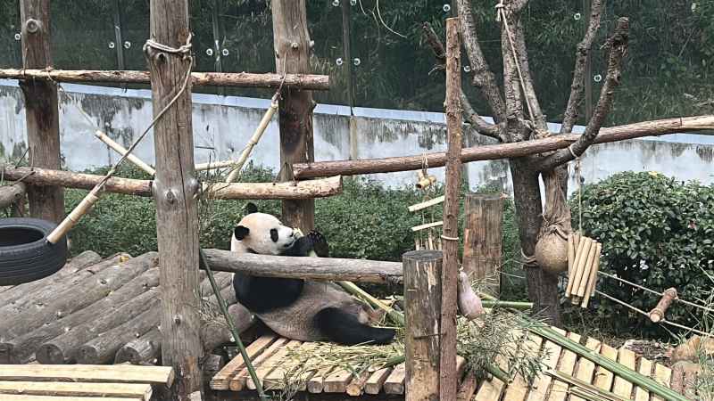 黔灵山之旅 6