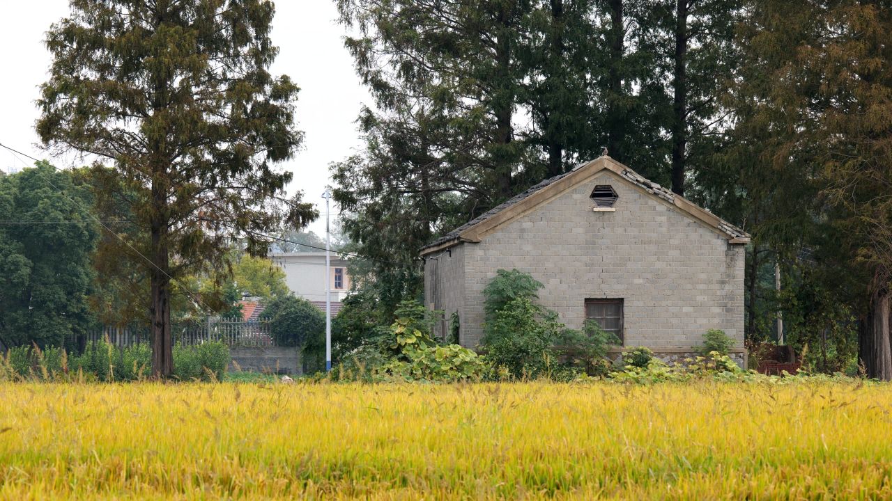 乡村稻田小屋