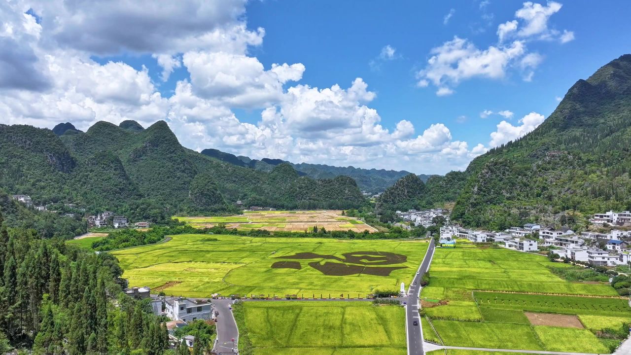 4K贵州兴义万峰林稻田画乡村振兴风光航拍