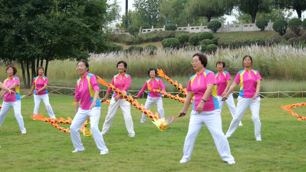 国庆江边芦苇荡 28