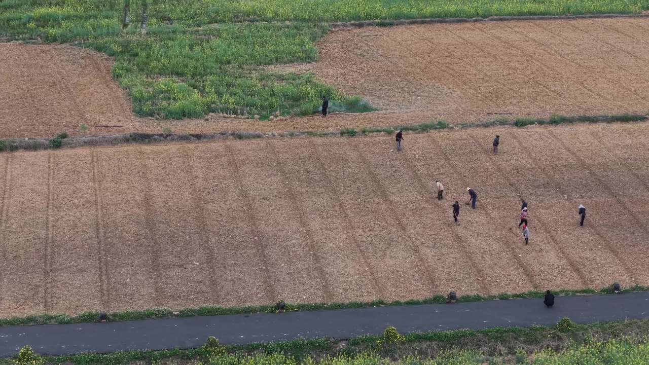 田野劳作的宁静时光