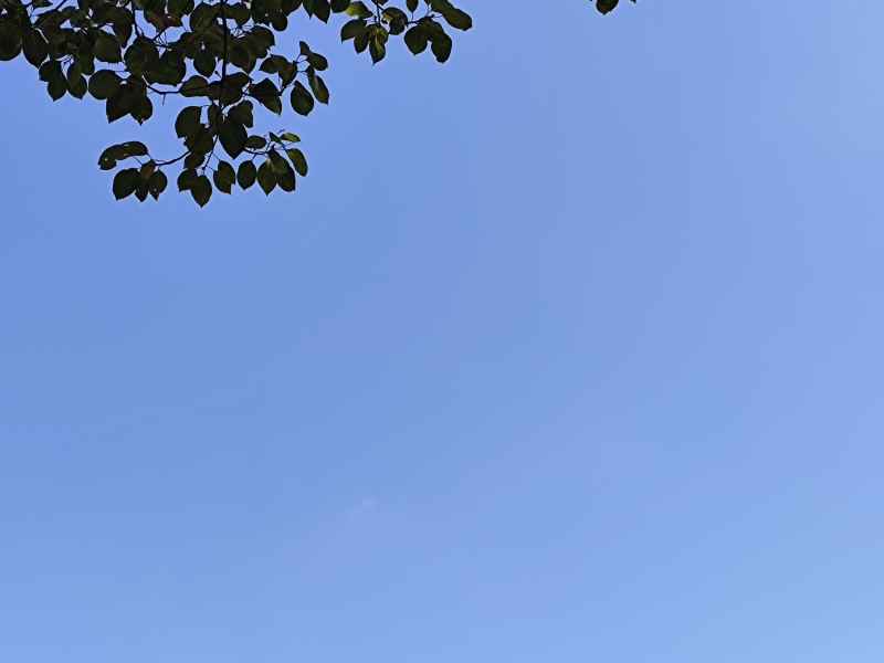 晴空