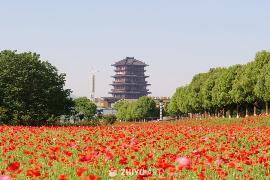 古楼 19