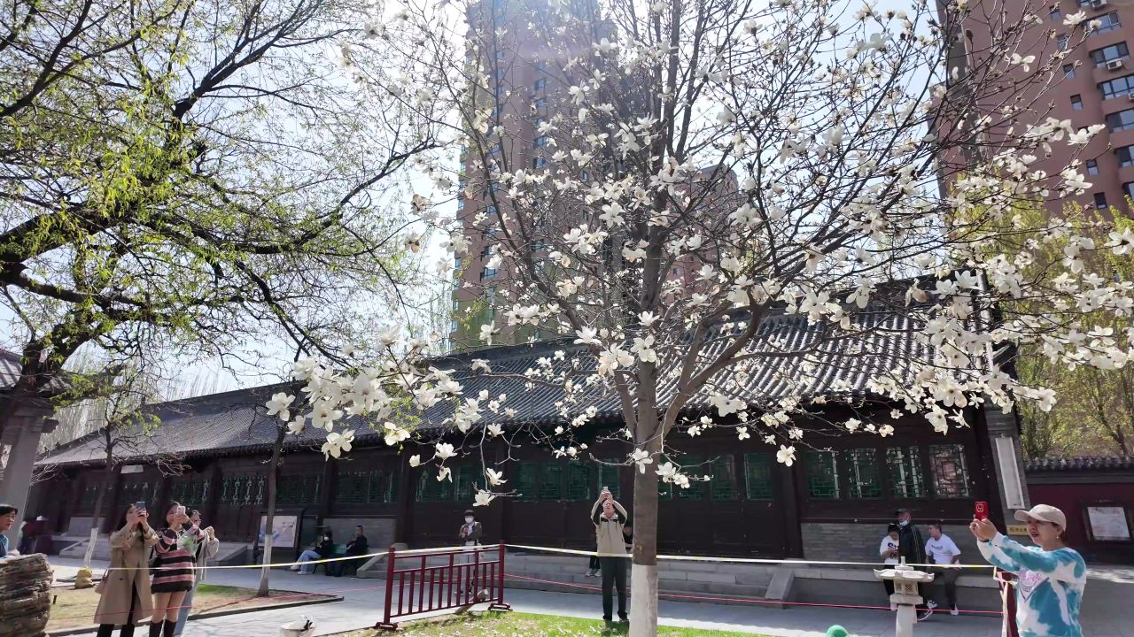 寺庙 喇嘛 藏传佛教 佛教 12
