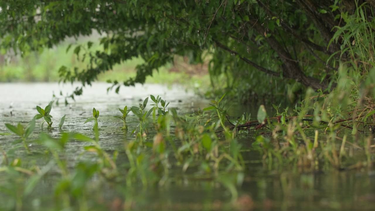 阴天下雨水滴雨滴天气 50