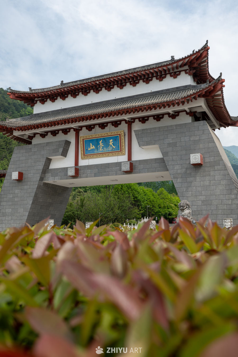森林公园 36