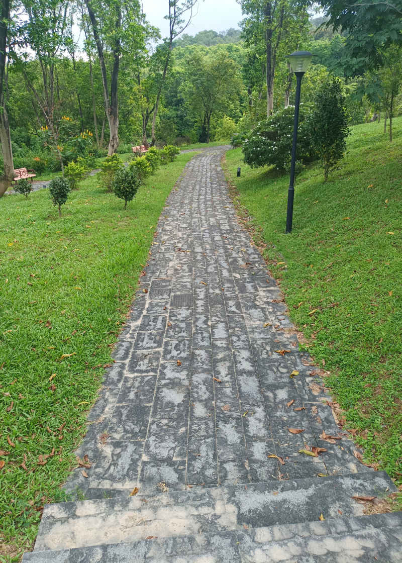 公园草坡石板小路