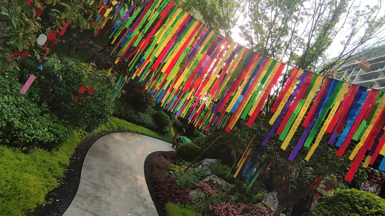 风景