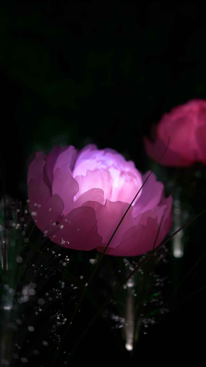 罗城棉花天坑 5