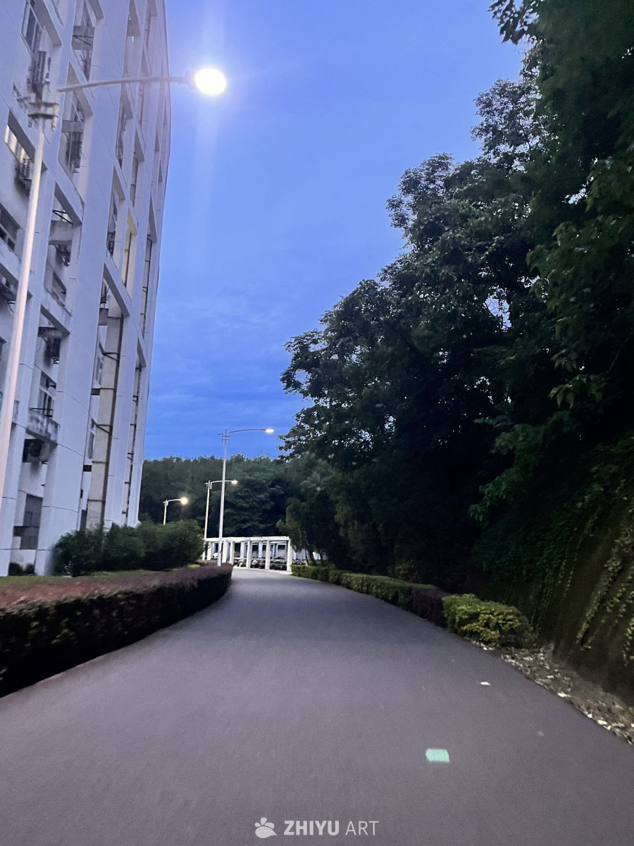 夜幕下的城市小径