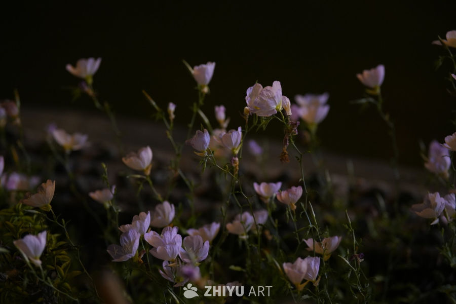 花