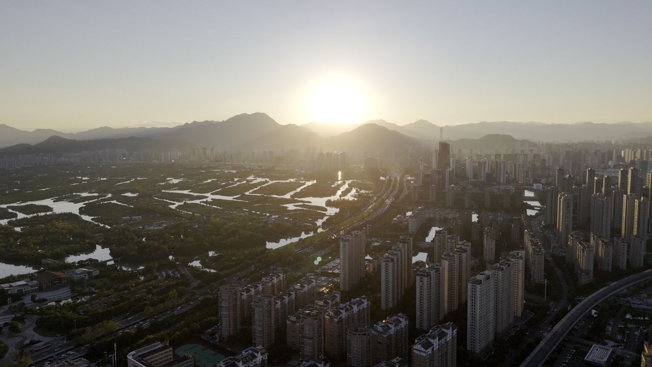 温州三垟湿地风光 30