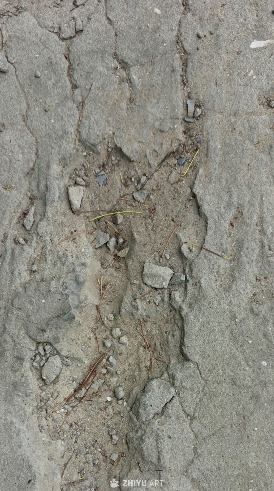 干涸脉络·破裂水泥路