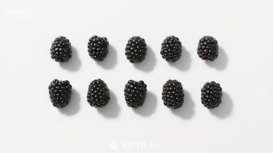 整齐排列的黑莓果实 1143