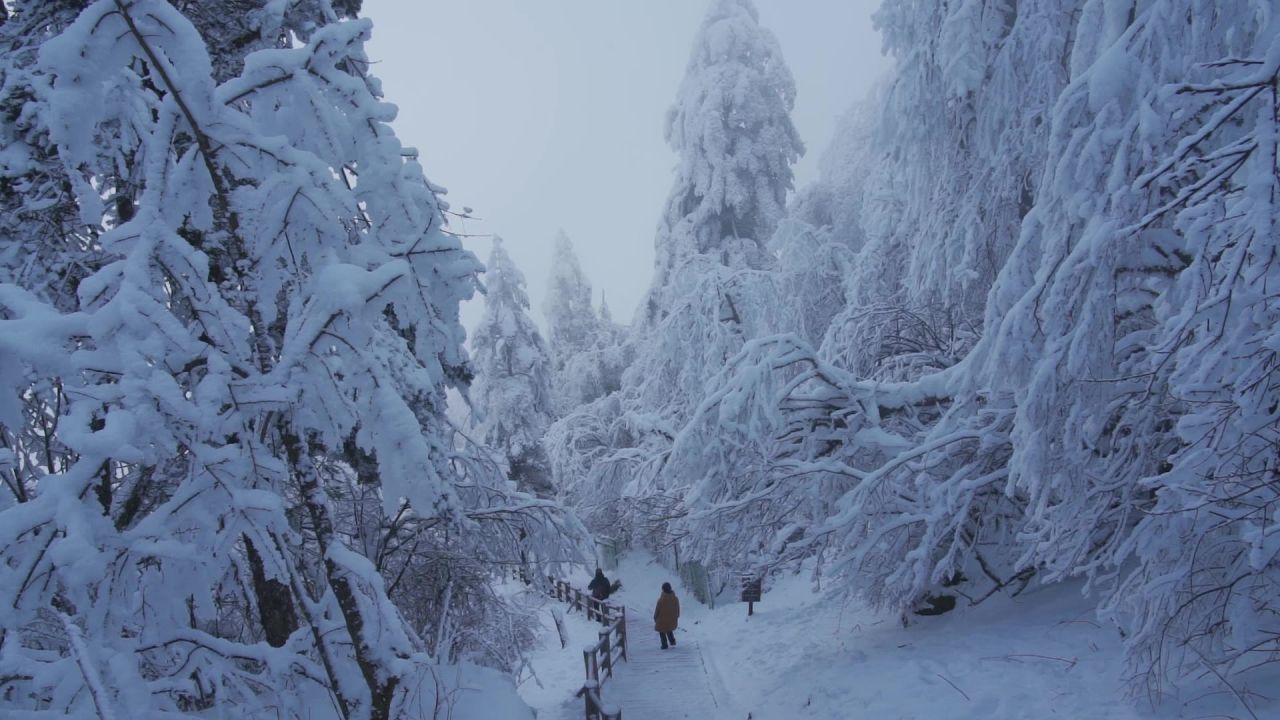 峨眉山游客从大雪覆盖的登山步道下山