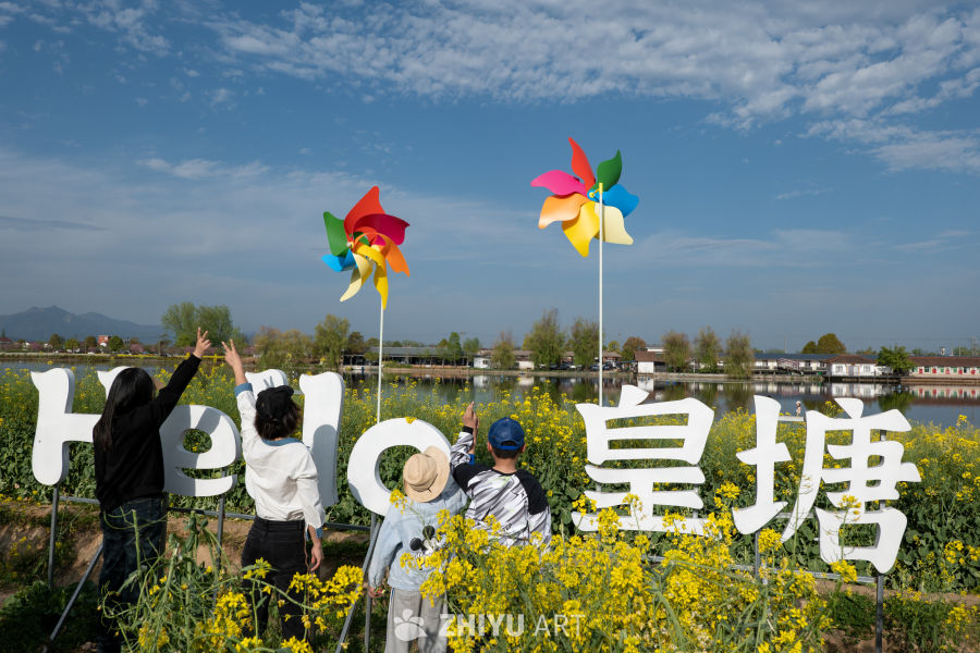 油菜花海 13