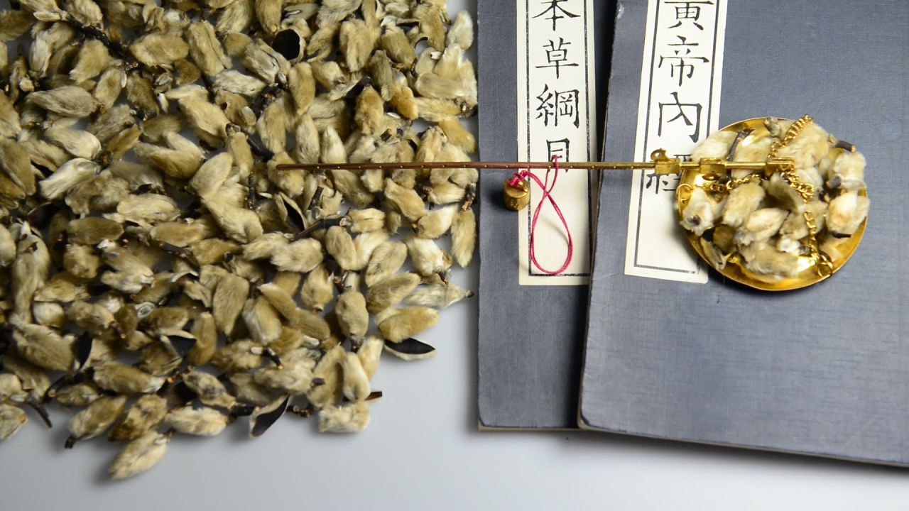 中药材辛夷 28